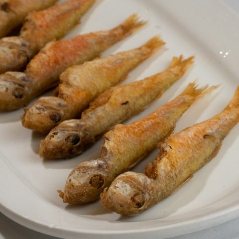 DSC00633